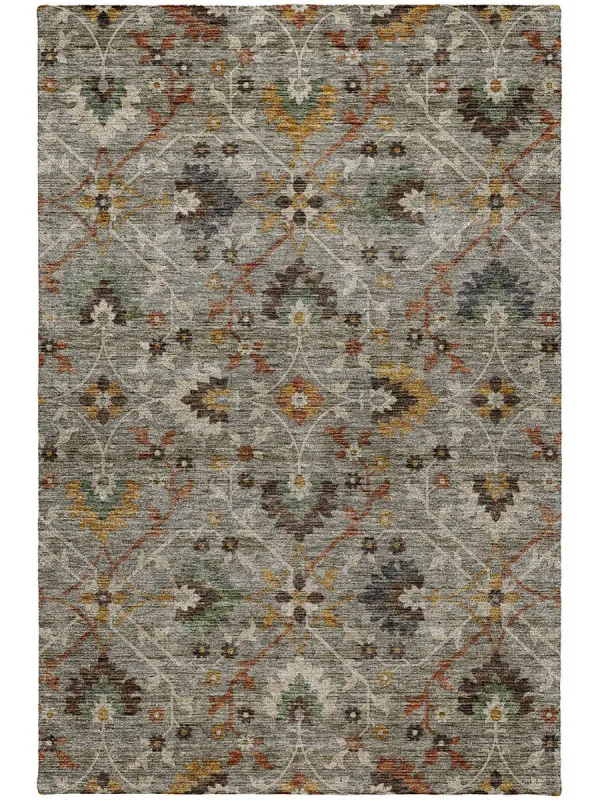 Silk Road SR4 Pewter 8' x 10' Rug