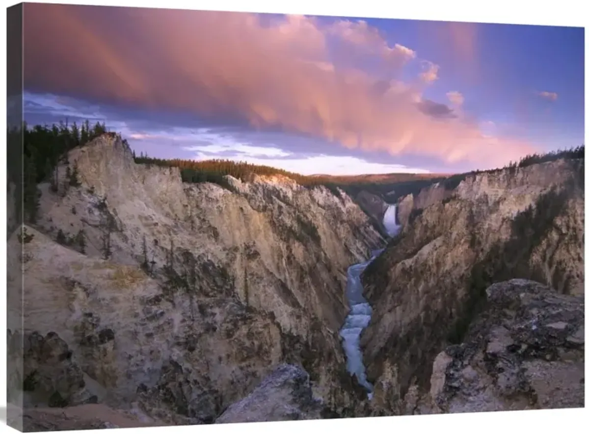 Lower Yellowstone Falls, Yellowstone National Park, Wyoming-Canvas Art-32x24