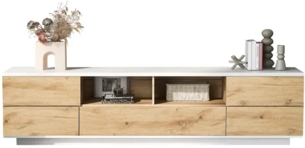 Modern TV Stand for TVs Sleek Entertainment Center with Storage for Living Room