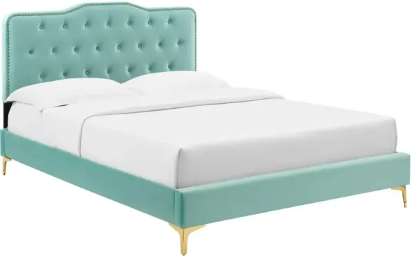 Modway - Amber Performance Velvet Queen Platform Bed