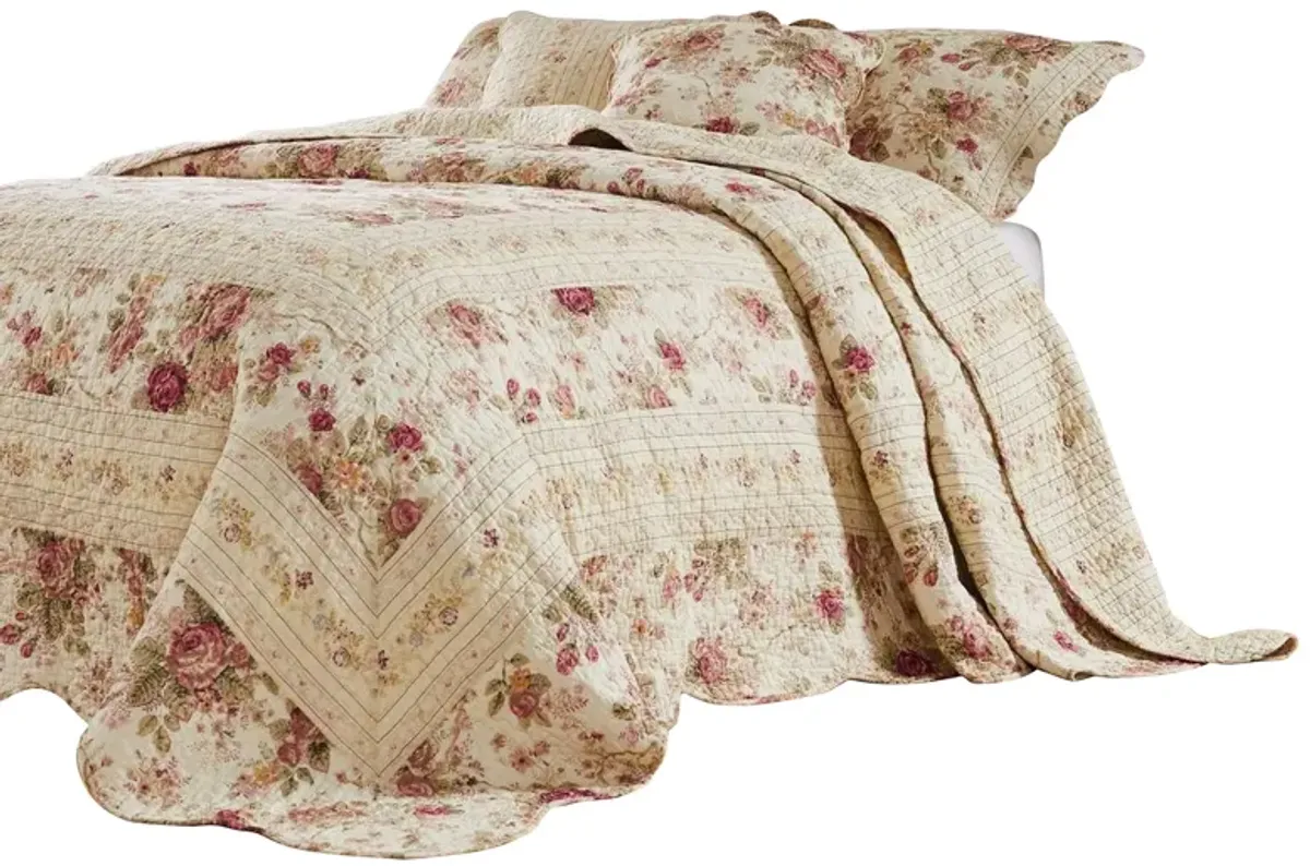 Rosle 3 Piece Queen Bedspread Set, Floral Print, Scalloped, Cream, Pink - Benzara