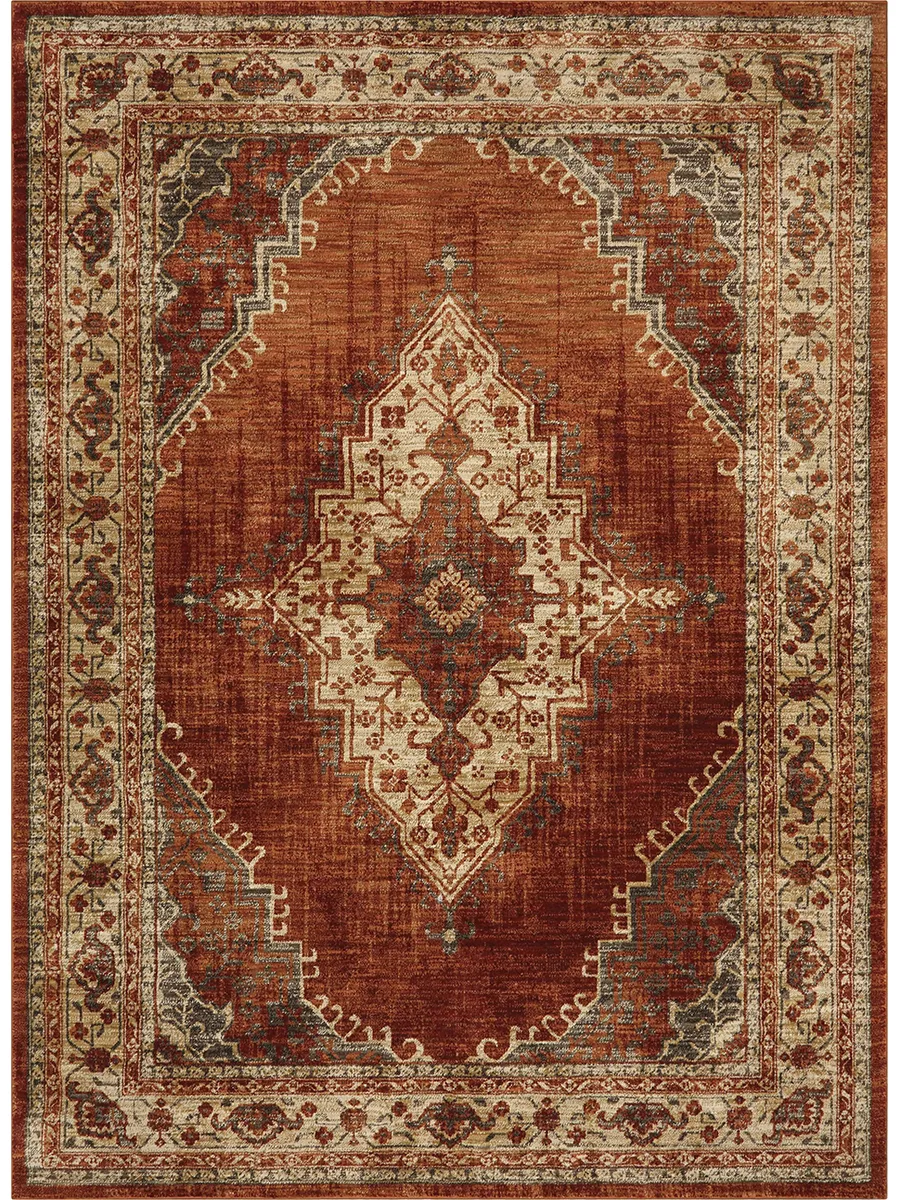 Spice Market Vasco Spice 8' X 11' Rug