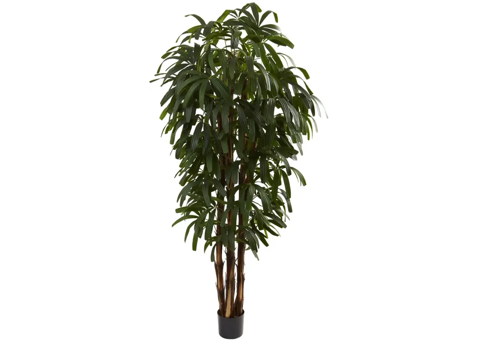 HomPlanti 6 Feet Raphis Palm Tree