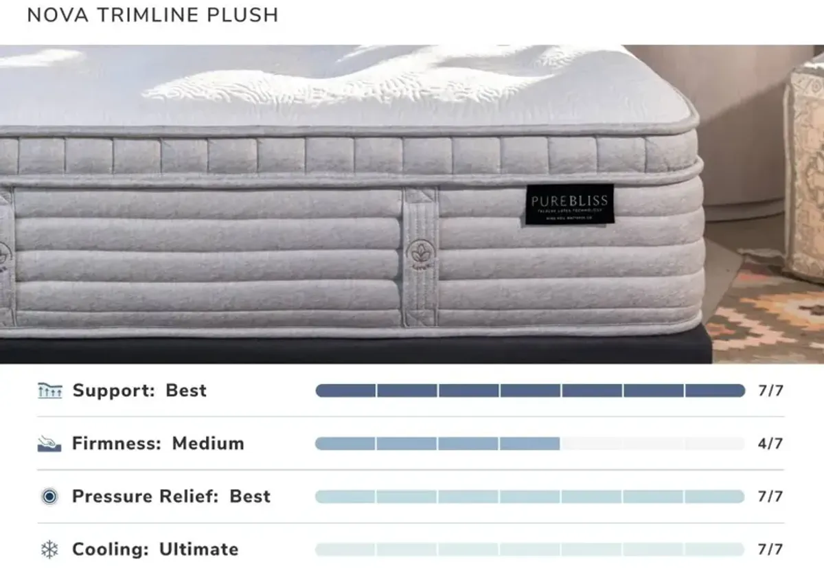 Lady Americana|Pure Bliss Nova Plush|Pure Bliss Nova Plush Ca King|Calking Mattress