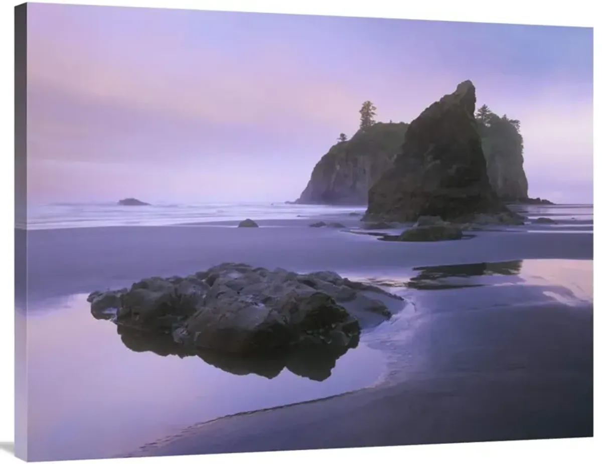 Ruby Beach with seastacks and boulders, Olympic National Park, Washington-Canvas Art-40x30