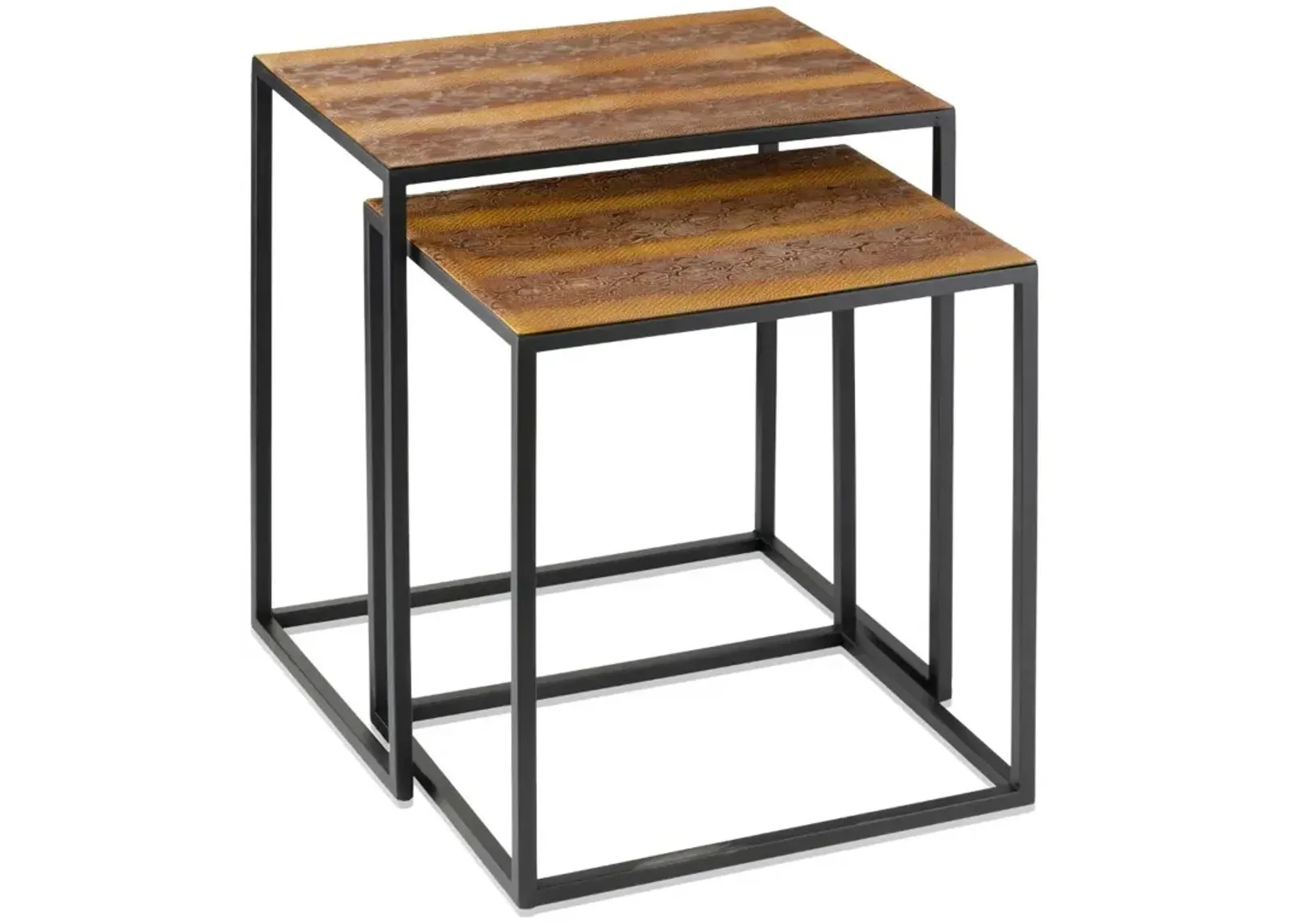 Homezia Set Of 2 Rectangular Black Powder Coated Frame And Rattlesnake Faux Leather Top Nesting End Tables