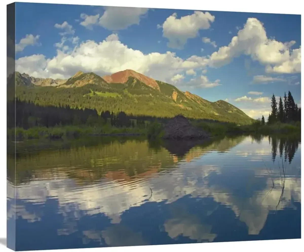 Avery Peak reflected in beaver pond, San Juan Mountains, Colorado-Canvas Art-30x24.9