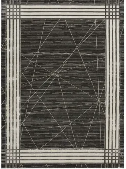 Charcoal/Silver color