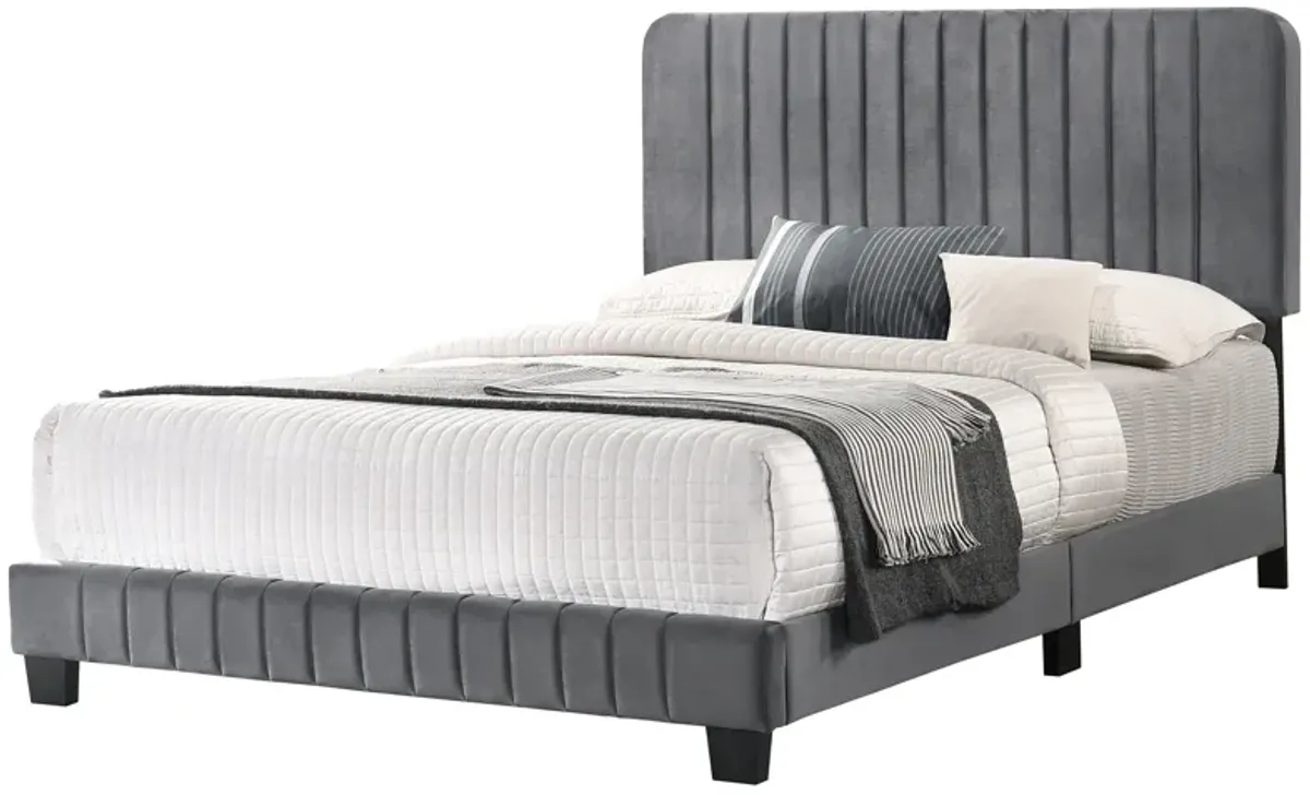 Lodi Velvet Upholstered Channel Tufted Queen Panel Bed