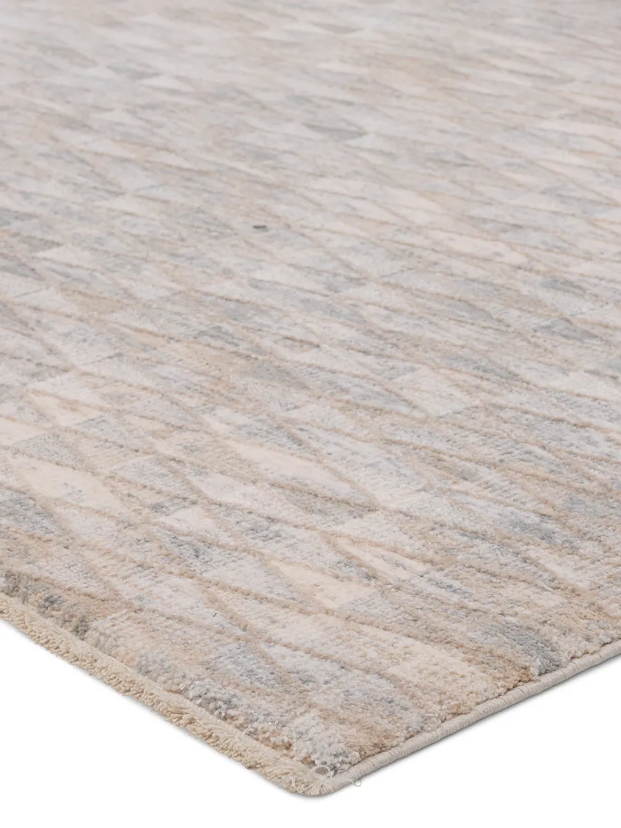 Aries Luray Tan/Taupe 3' x 10' Runner Rug