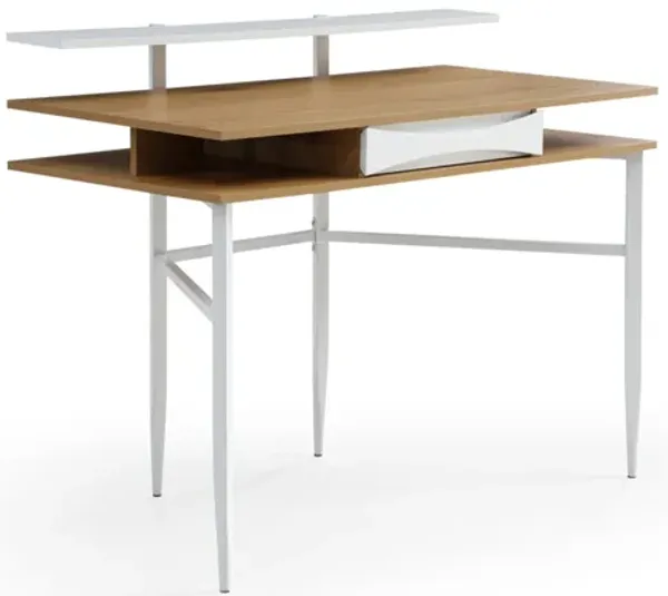 Loft Lyfe Makinley Writing Desk