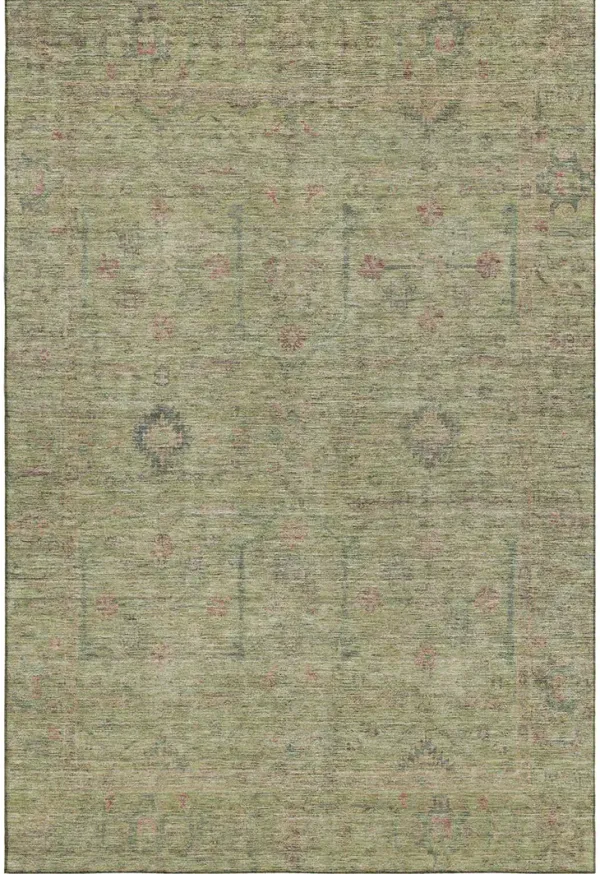 Ravenna RN5 Aloe 3' x 5' Rug