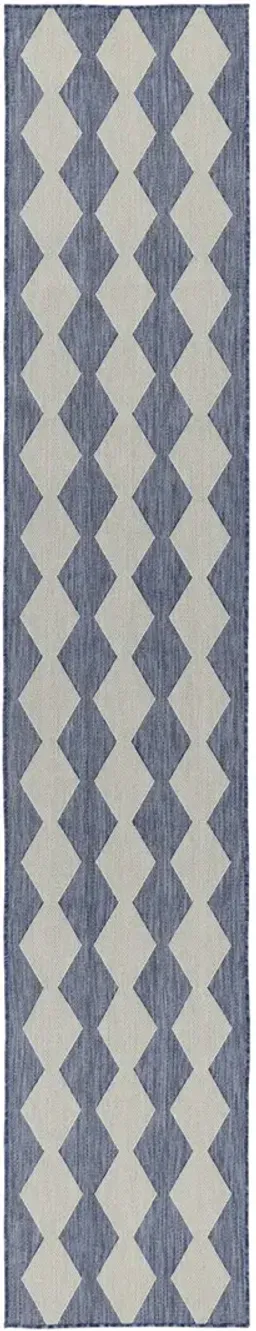 Navy/Blue color