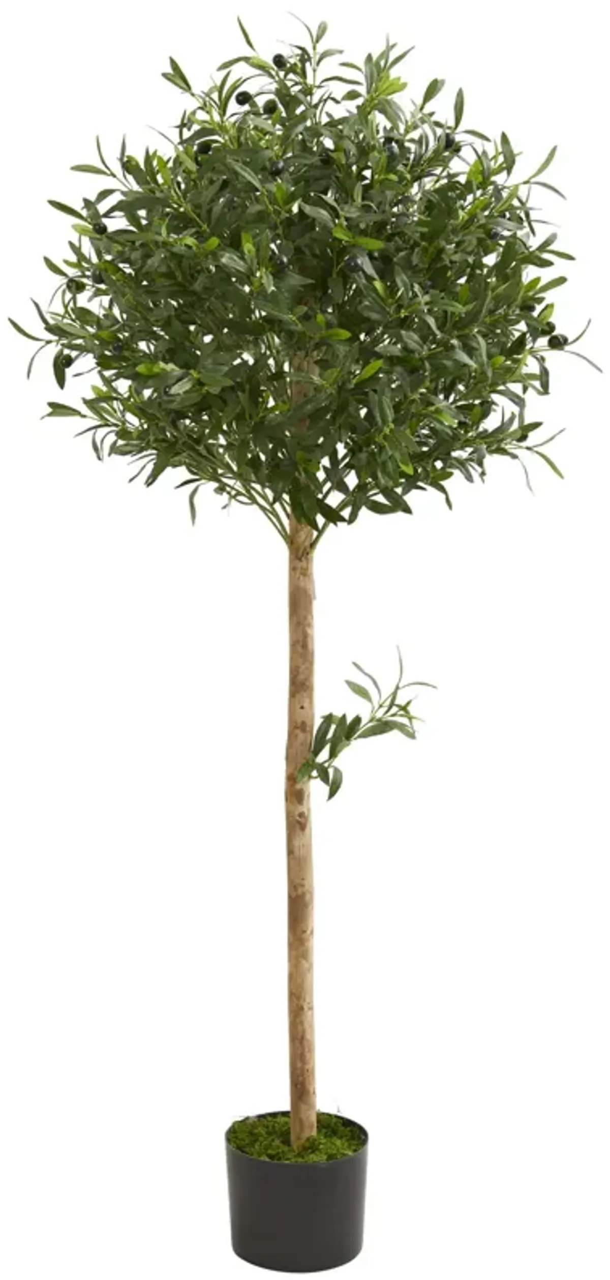 HomPlanti 5 Feet Olive Topiary Artificial Tree