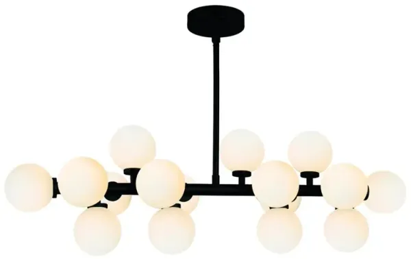 CWI Lighting Arya 16 Light Chandelier With Black Finish