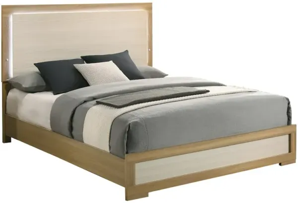Best Quality Furniture Beige wood queen size panel bed