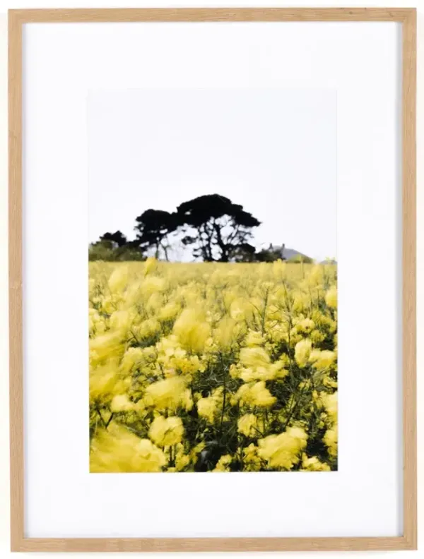 In The Wind by Annie Spratt