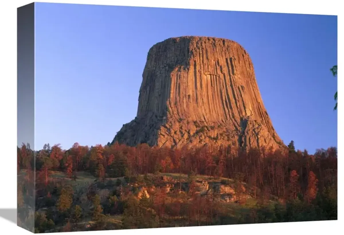 Devils Tower National Monument showing famous basalt tower, sacred site for Native Americans, Wyoming-Canvas Art-16x12