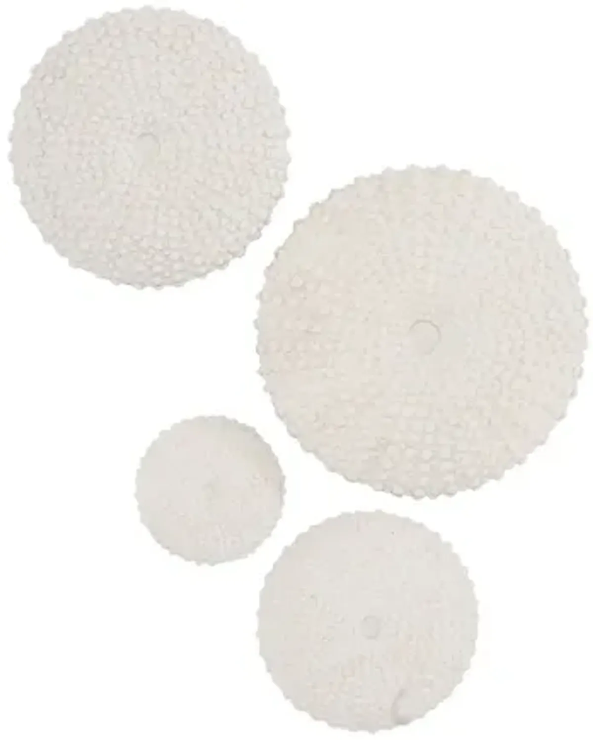 Sea Urchin Wall Art, Set Of 4