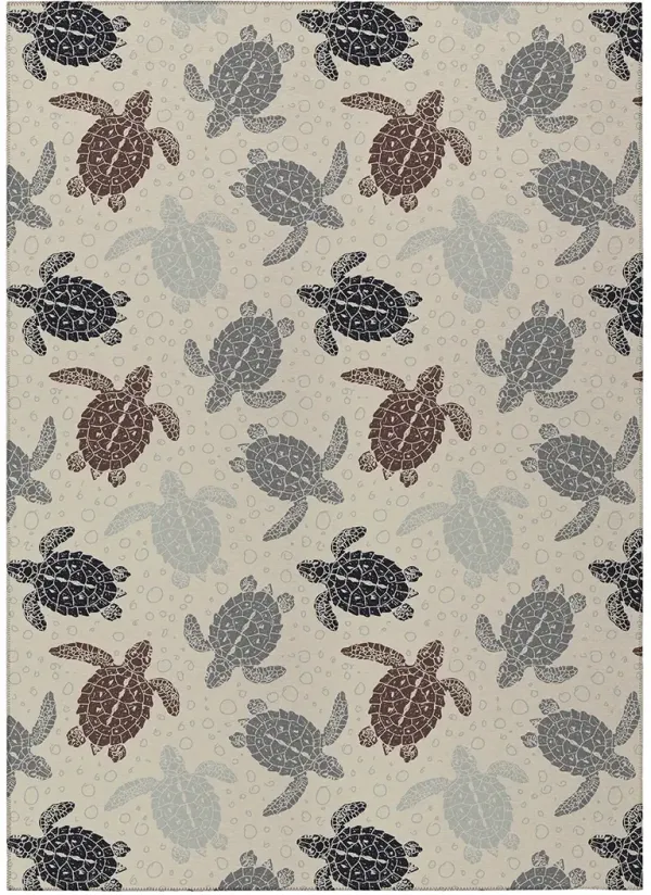 Seabreeze SZ13 Beige 30" x 46" Rug