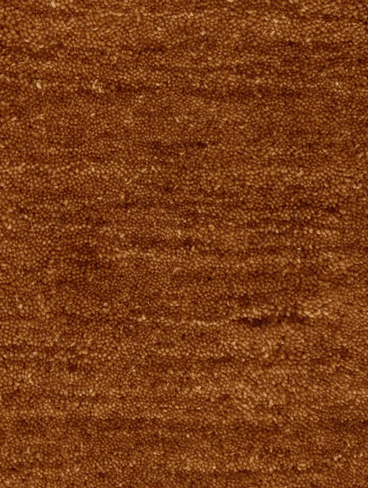 Aniston II 2'6" x 8' Rust Rug