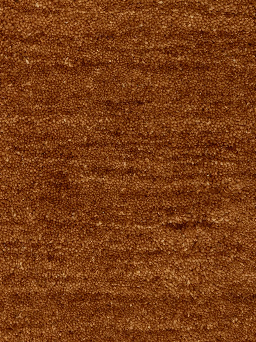 Aniston II 2'6" x 8' Rust Rug