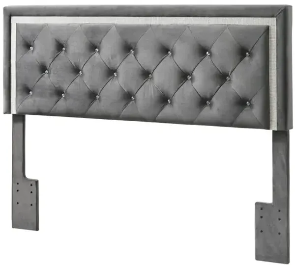 Best Quality Furniture Dark Grey Velvet Uph. Panel Bed with Accents - Full