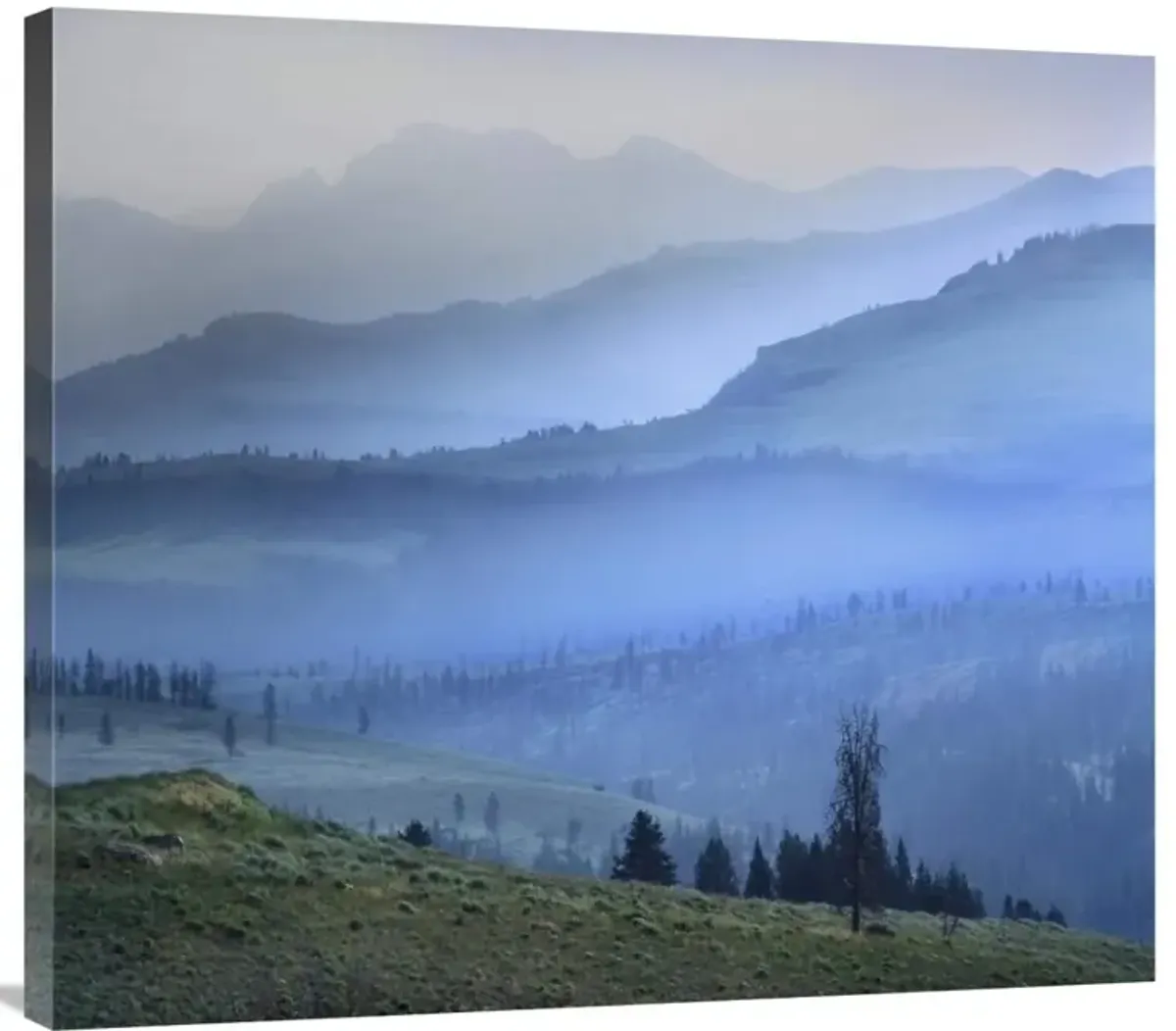 Mist over Absaroka Range, Yellowstone National Park, Wyoming-Canvas Art-36x32.04