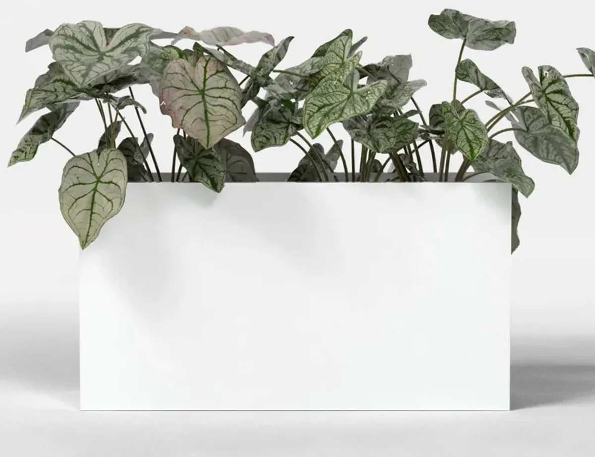 Greenline Fiberglass Leo Large Indoor/Outdoor Rectangle Planter.