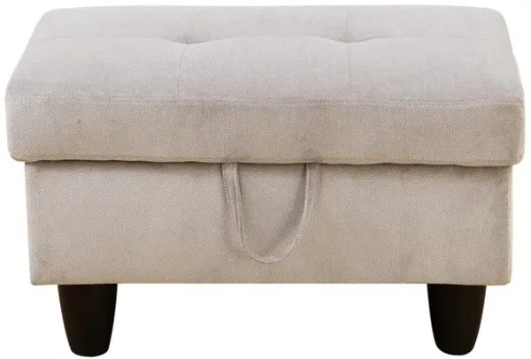28.5 in. W Grayish White Fabric Rectangle Ottoman with Storage