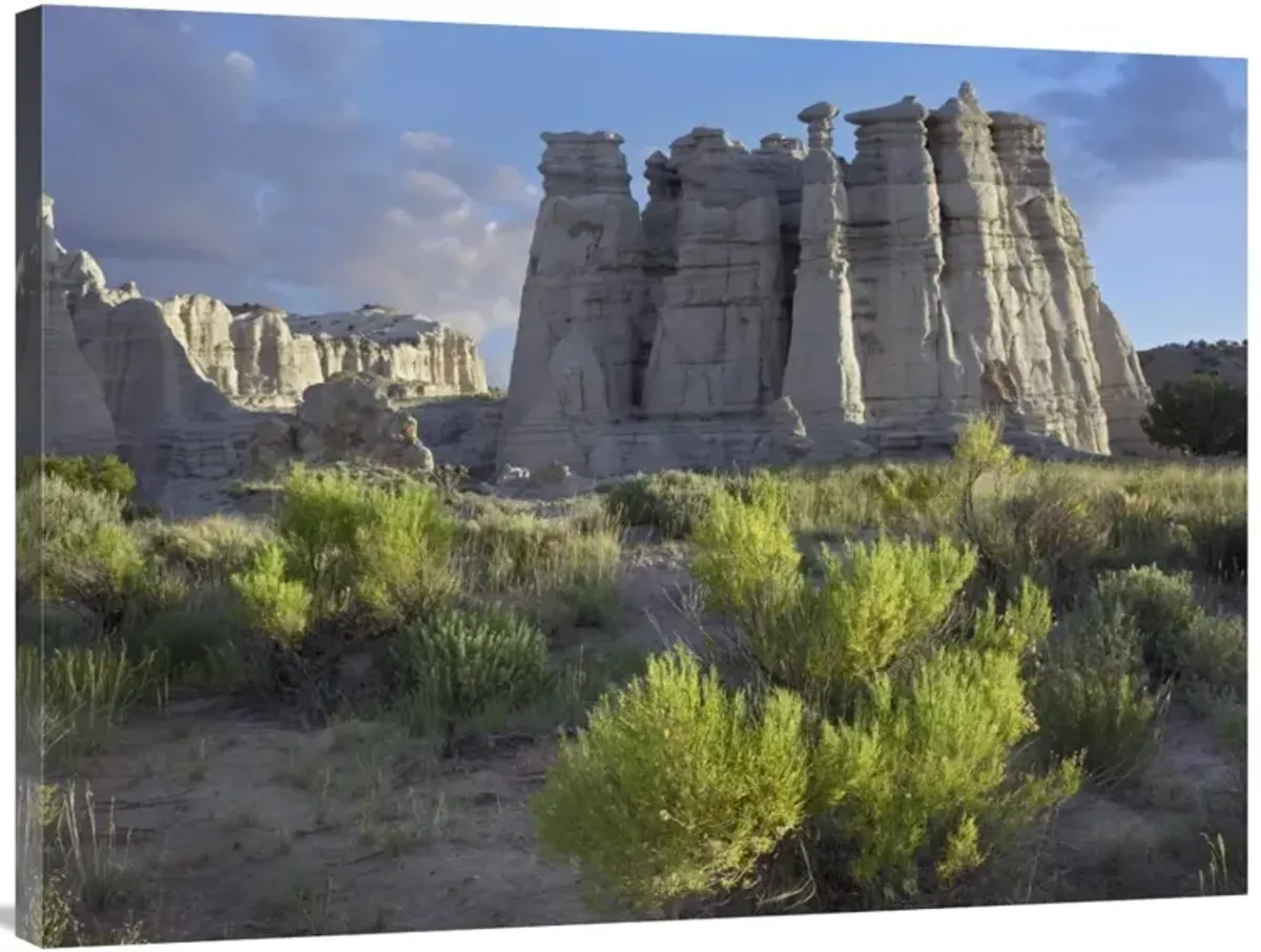Plaza Blanca near Abiquiu, New Mexico-Canvas Art-40x30