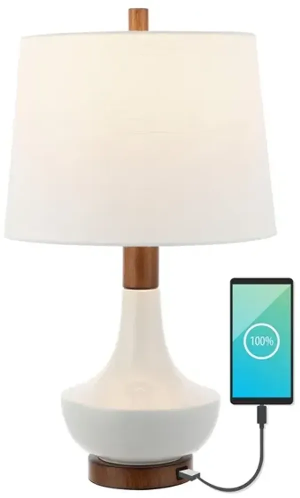 Finn Vintage Minimalist Iron/Ceramic LED Mini Table Lamp with USB Charging Port