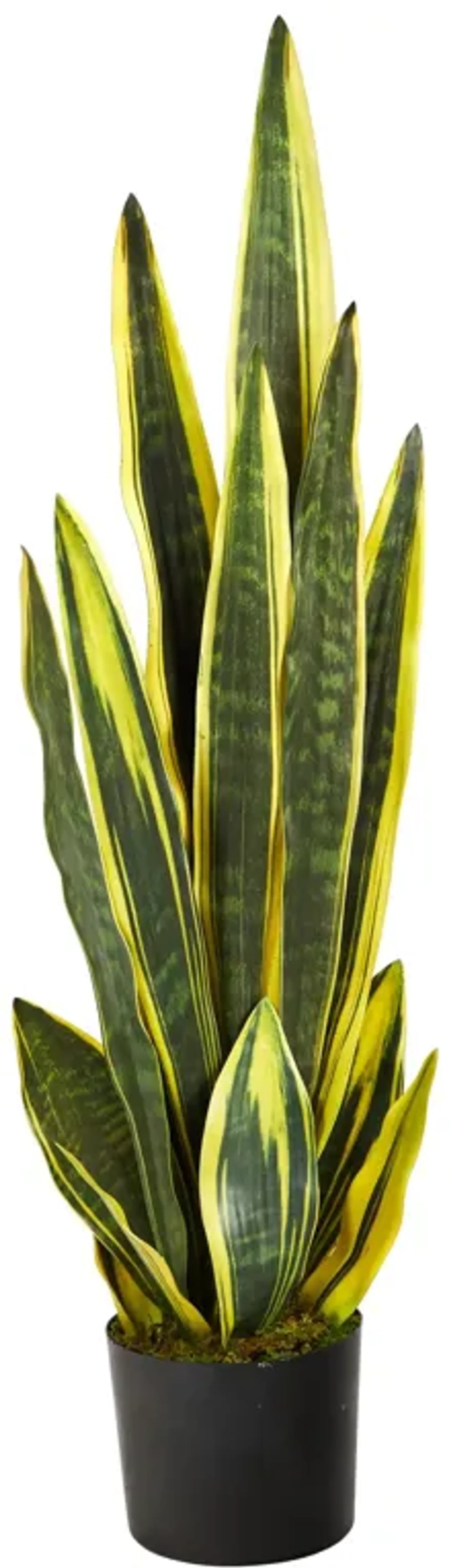 Hivvago 38" Sansevieria Artificial Plant - Green and Yellow