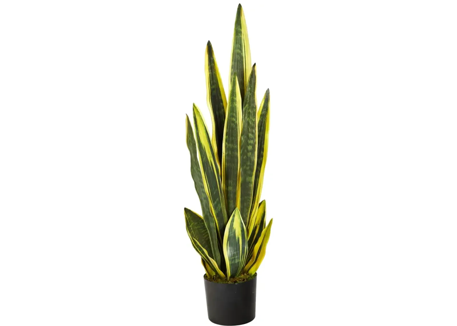 HomPlanti 38" Sansevieria Artificial Plant - Green and Yellow