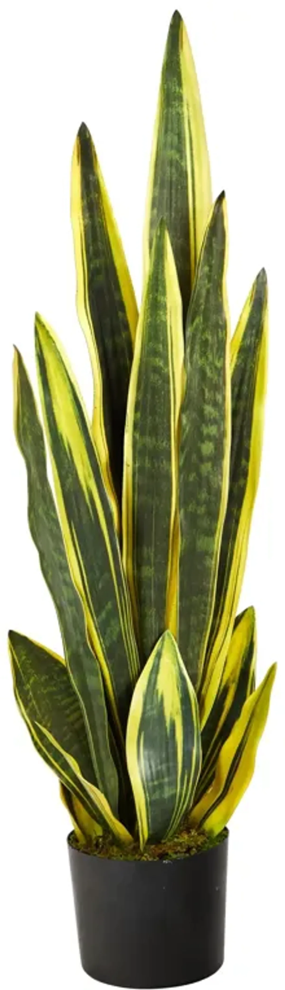 HomPlanti 38" Sansevieria Artificial Plant - Green and Yellow