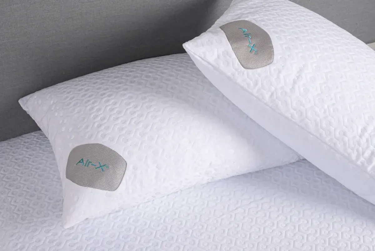 Dri-Tec with Air-X Queen Pillow Protector