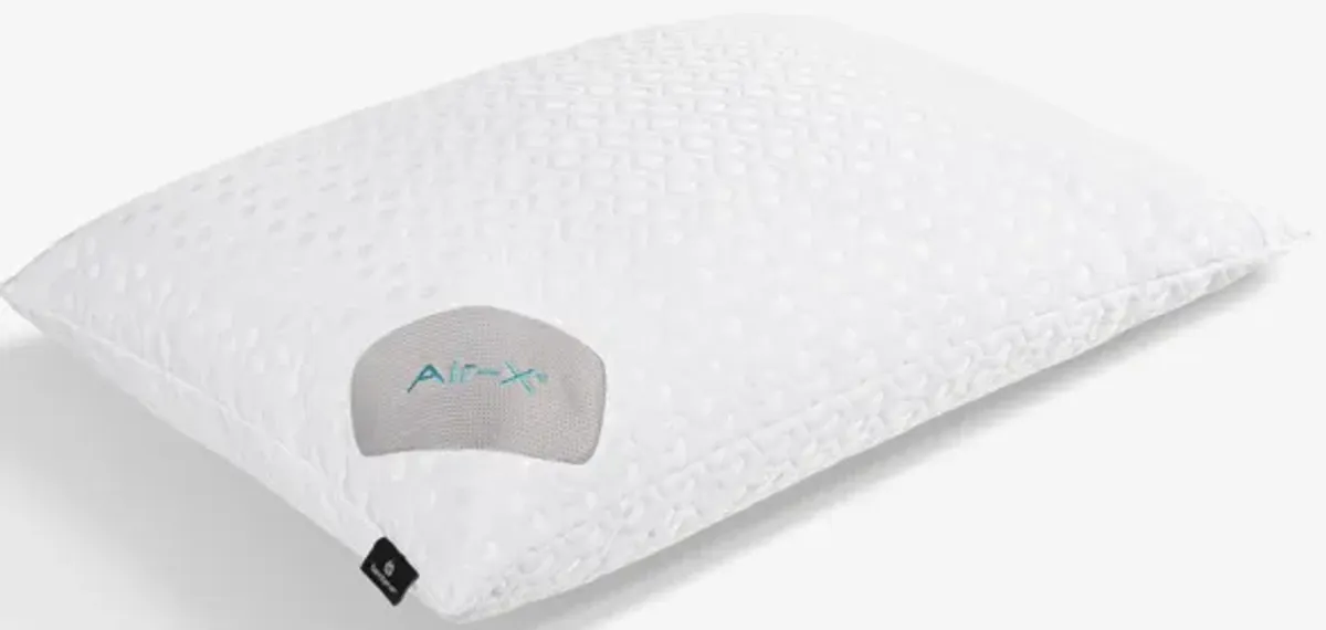 Dri-Tec with Air-X Queen Pillow Protector