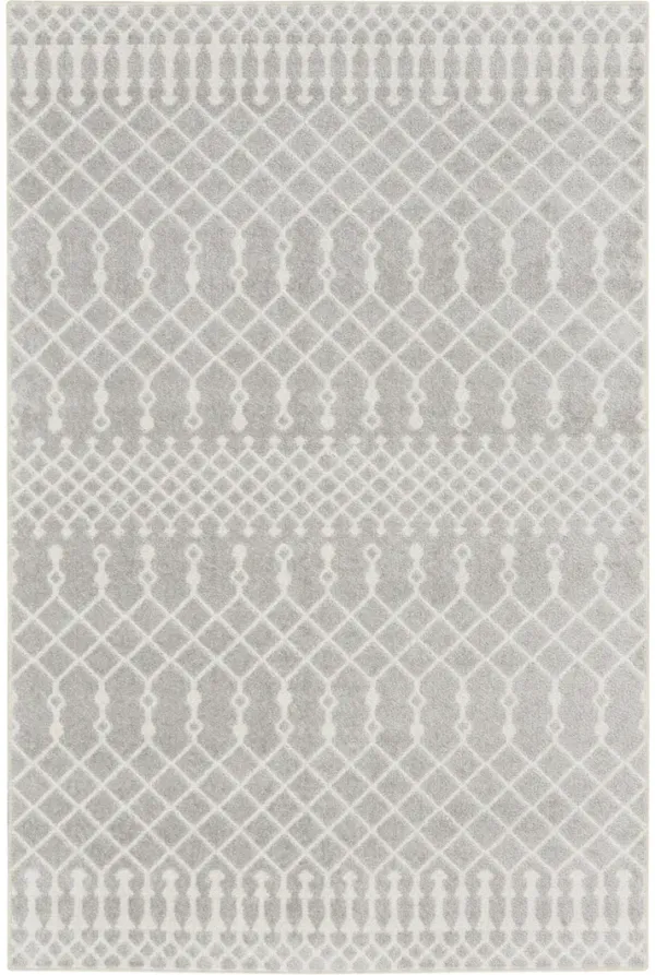 Astra Machine Washable ASW10 Gray 3'3" x 5' Rug