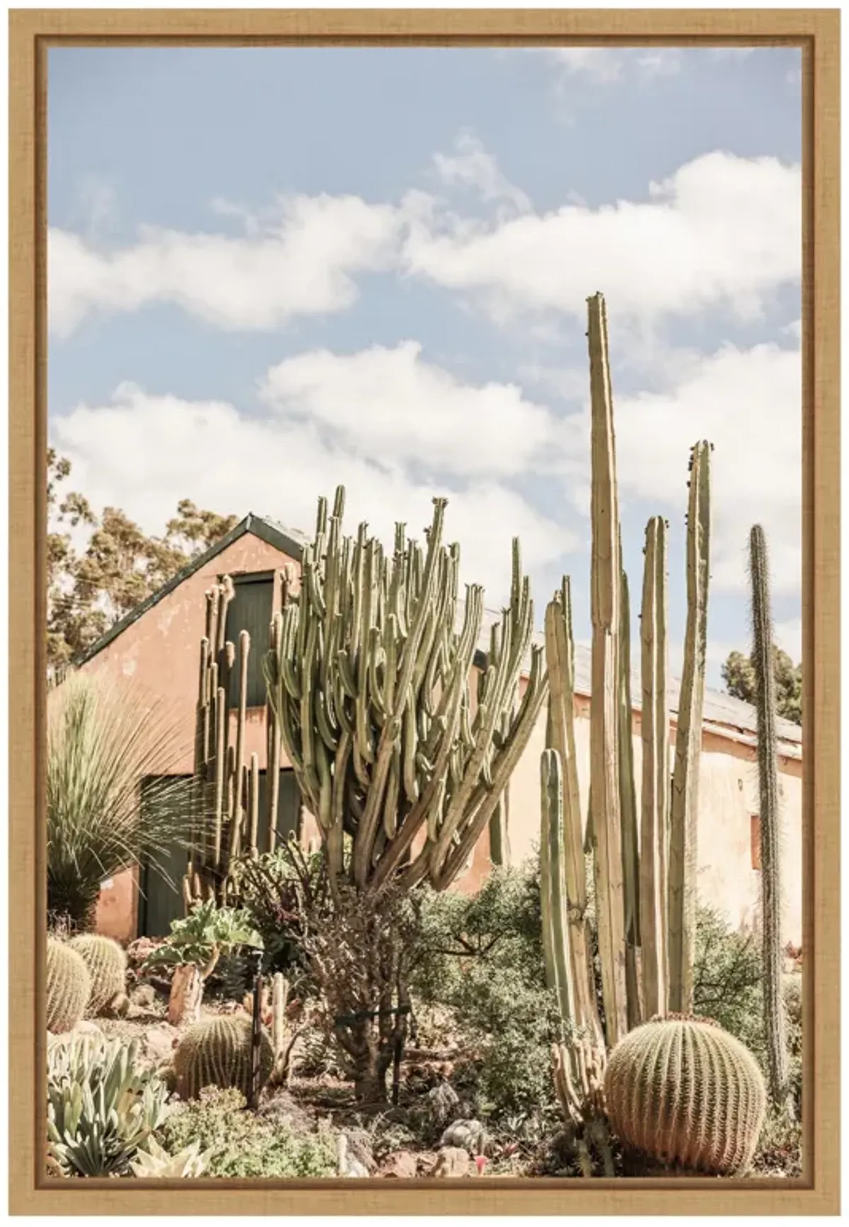 Karoo Garden by Shot by Clint Framed Canvas Wall Art