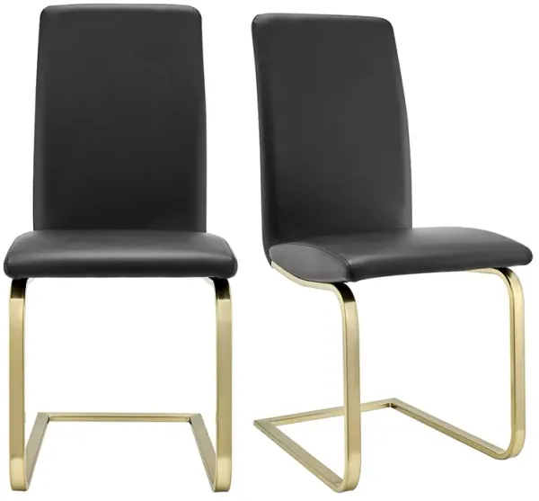 Set of 2 Modern Accent Dining Chairs for Kitchen or Dining Room