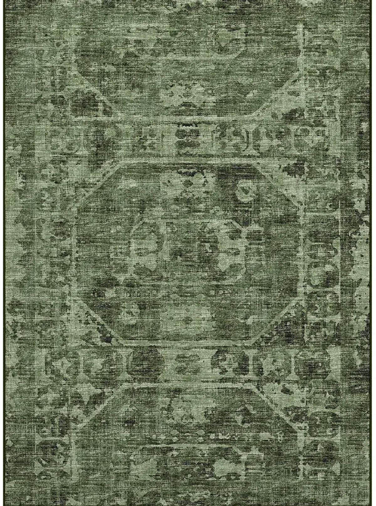 Aberdeen AB2 Cactus 3' x 5' Rug