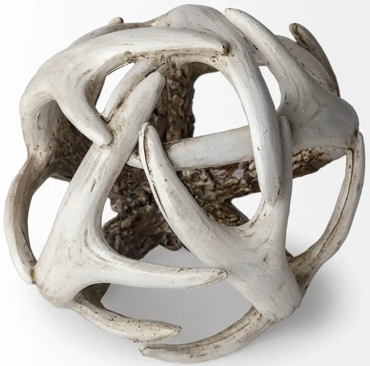 Ramus Object 5L X 5W