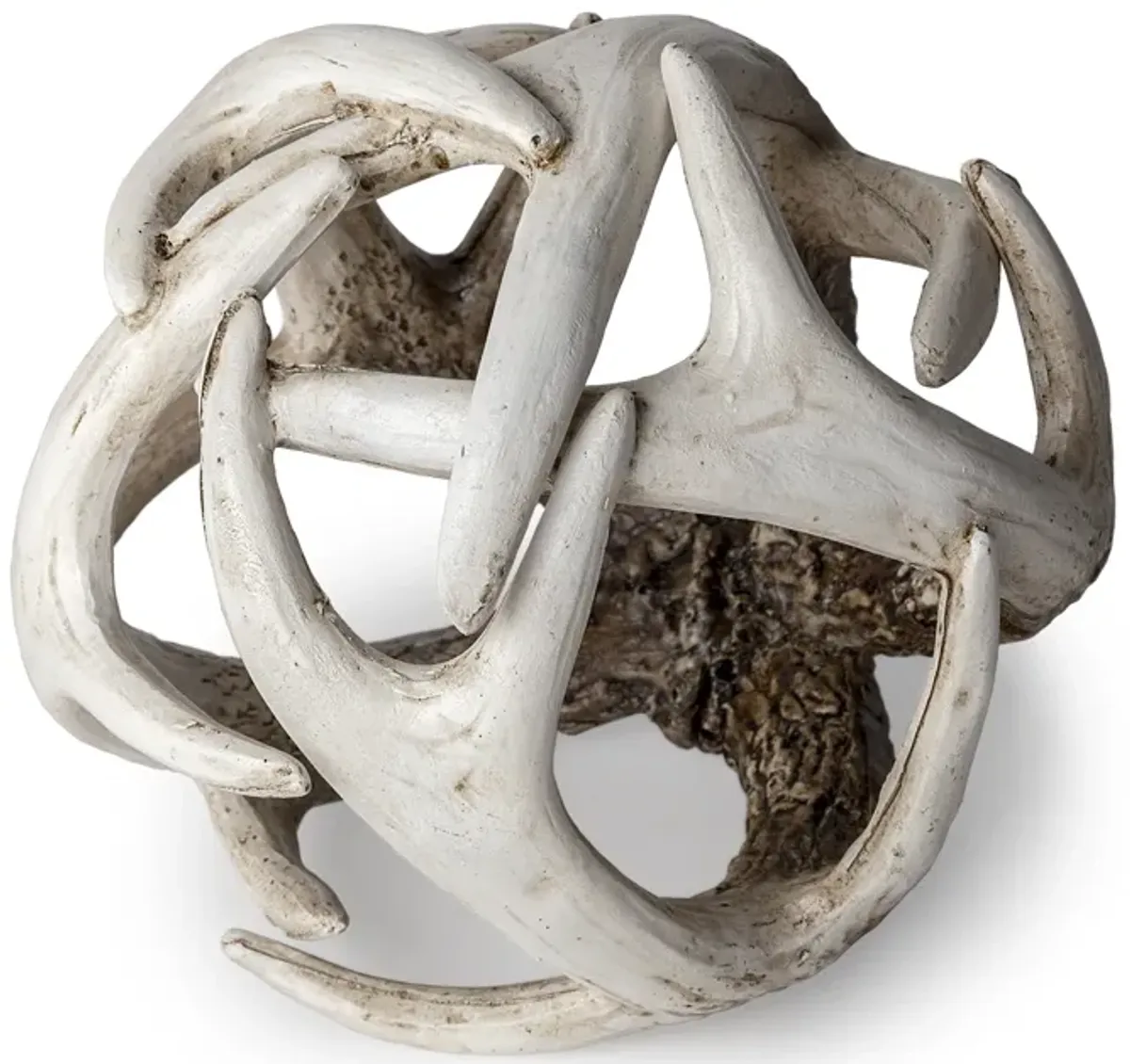 Ramus Object 5L X 5W