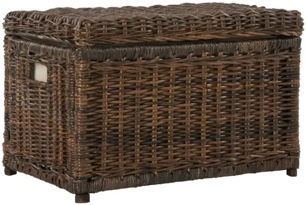 Elijah Wicker Storage Trunk