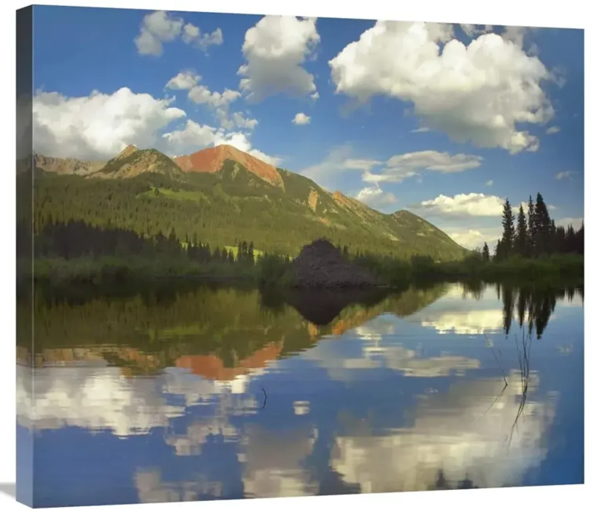 Avery Peak reflected in beaver pond, San Juan Mountains, Colorado-Canvas Art-30x26.4