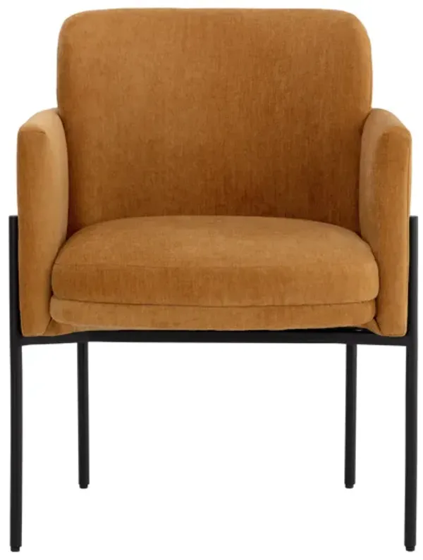 Richie Dining Armchair