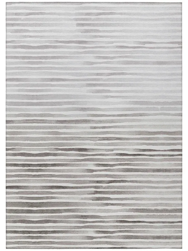 Seabreeze SZ8 Pewter 30" x 46" Rug
