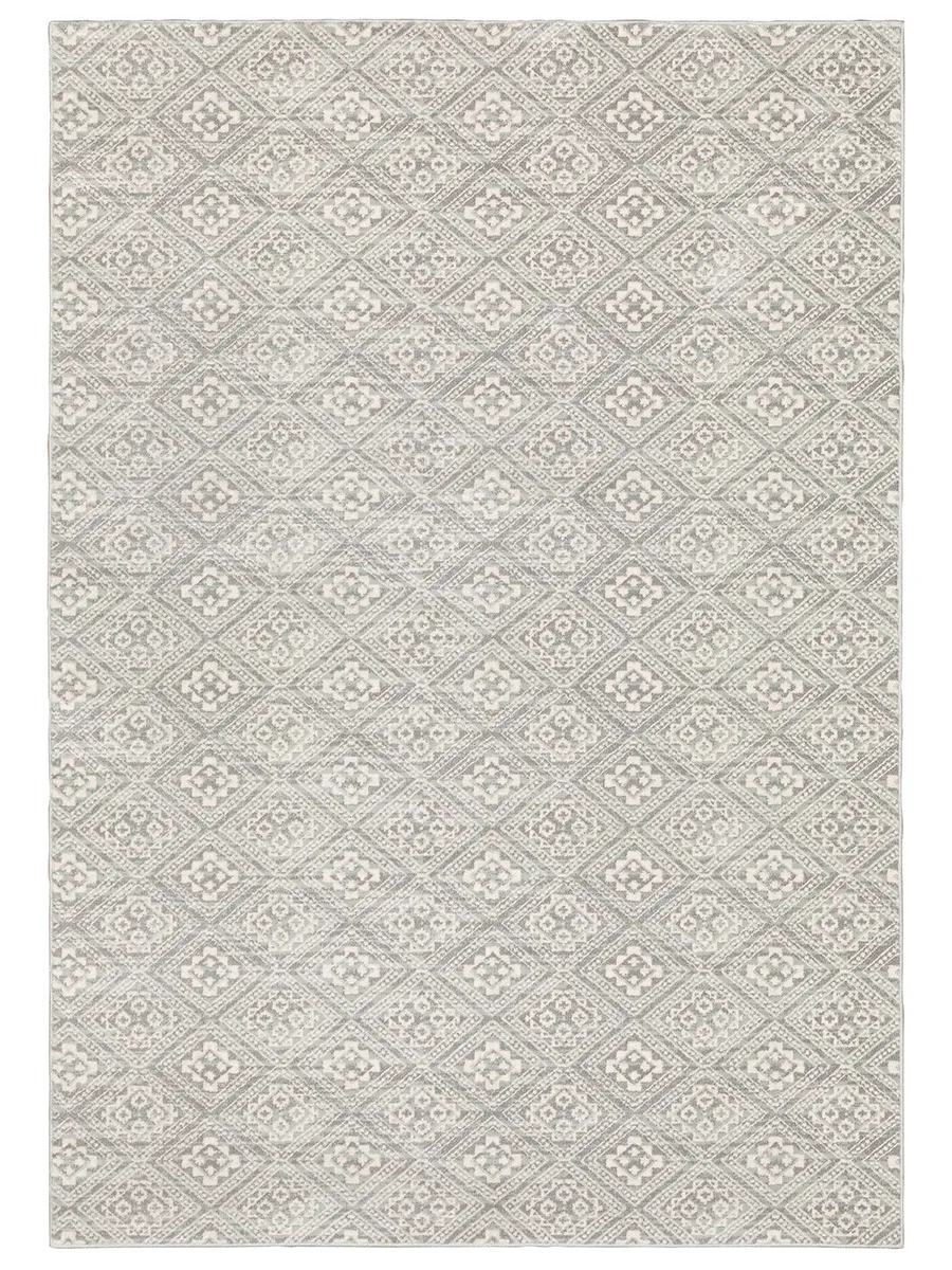 Capistrano 6'7" x 9'6" Grey Rug