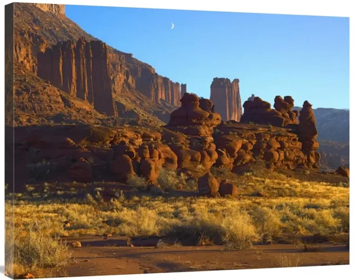 Fisher Towers at Professor Valley, Utah-Canvas Art-35x28