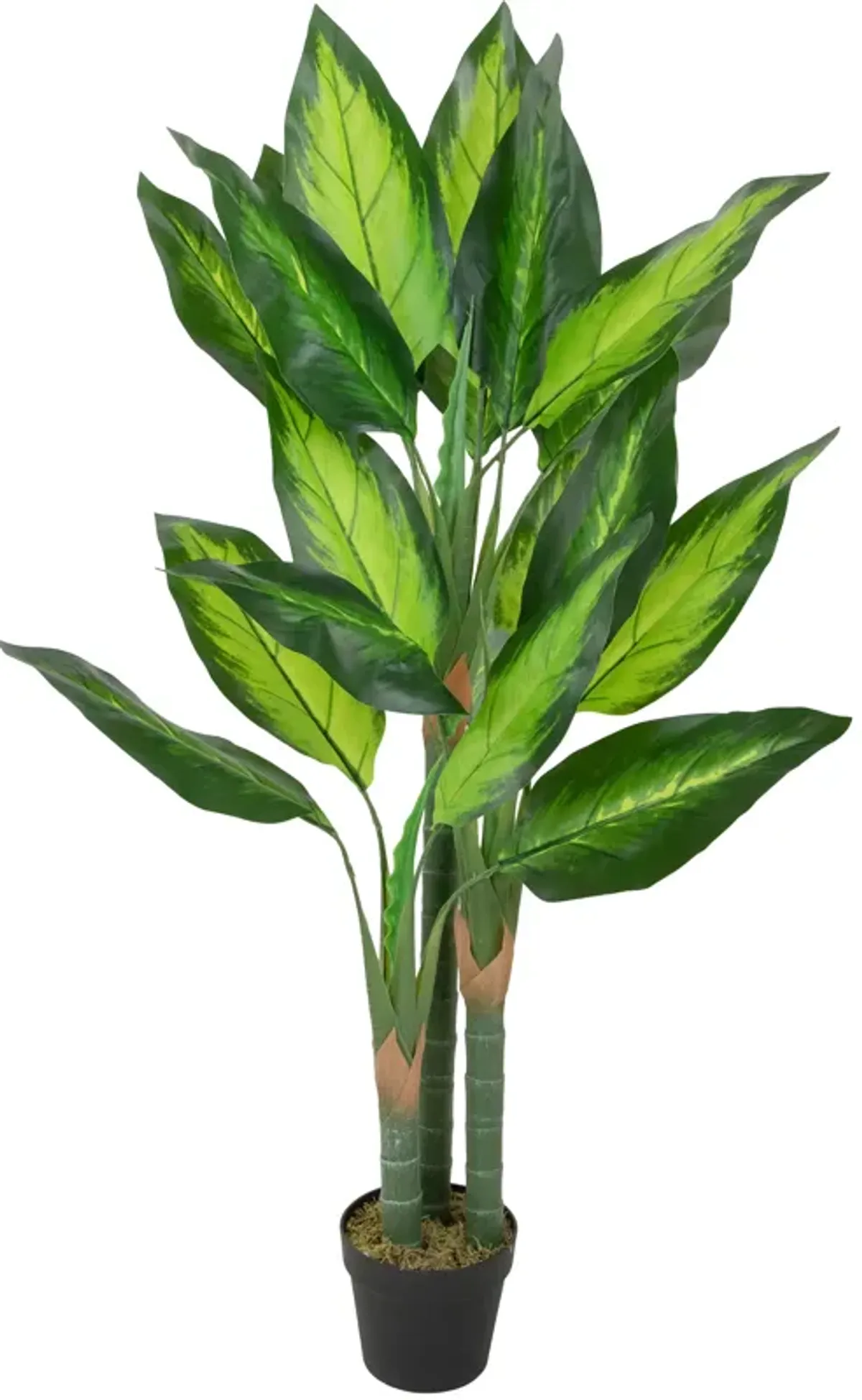 51" Artificial Wide Leaf Green Dieffenbachia Potted Plant